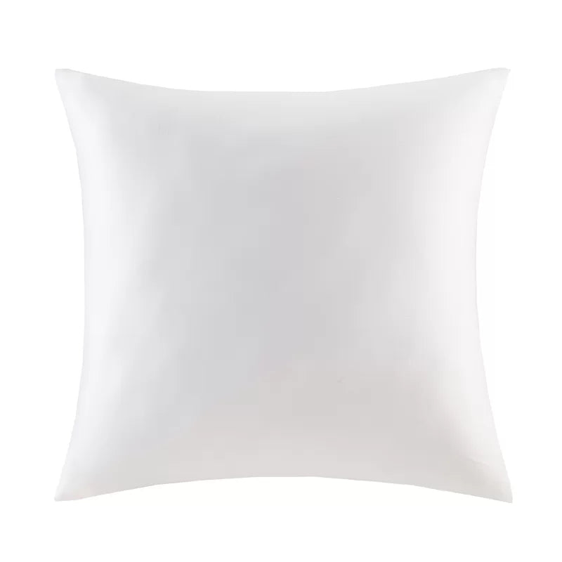 Pillow Inserts